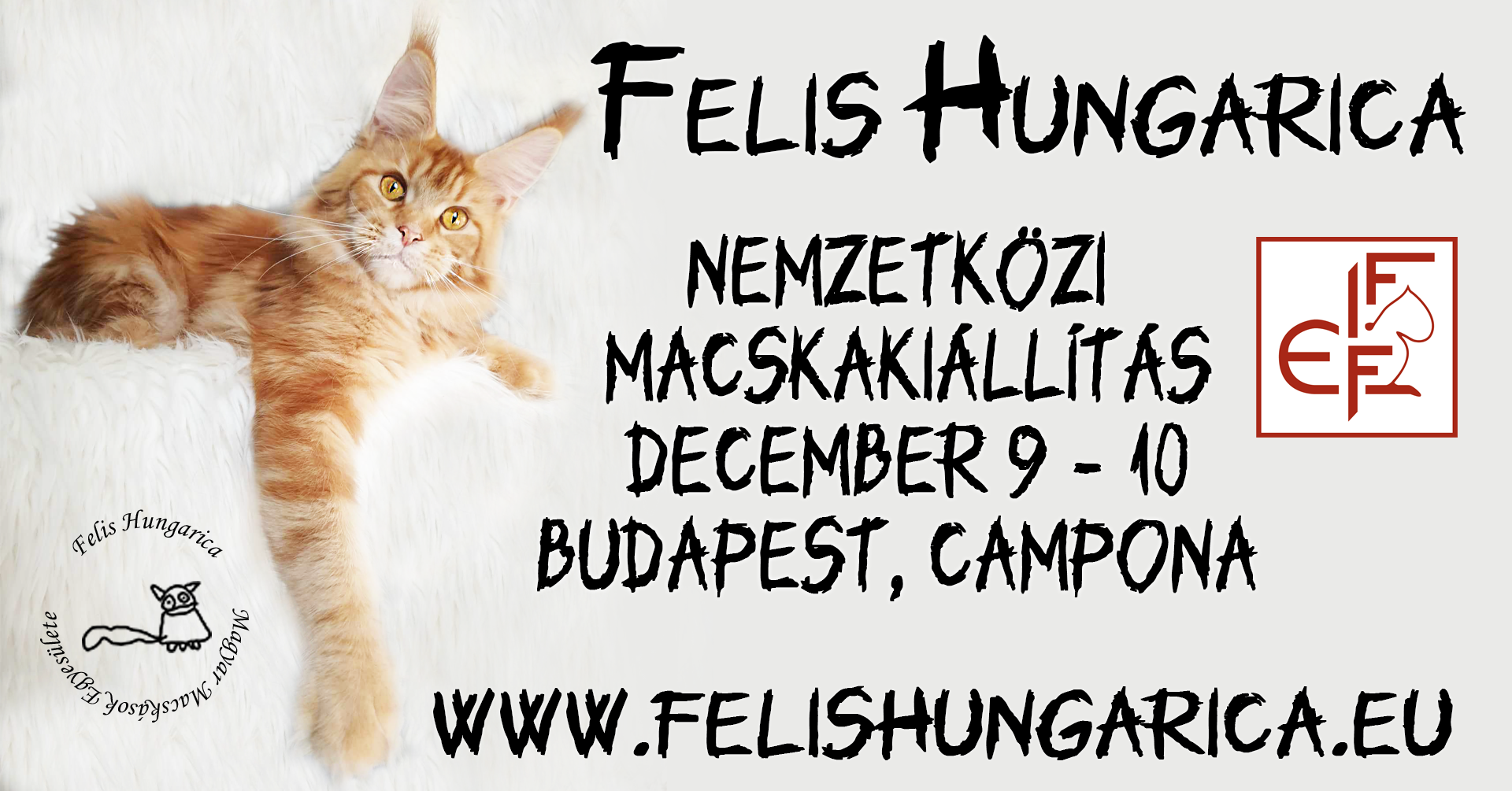 Budapesti nemzetközi macskakiállítás 2023 december 9-10 Budapest, Campona