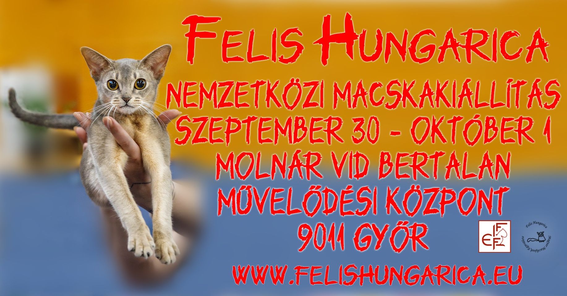 Győri nemzetközi macskakiállítás